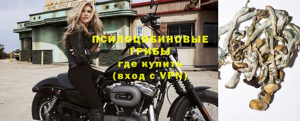 бутират Алексеевка